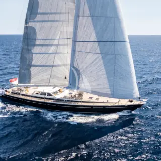 SCARENA - Image 5