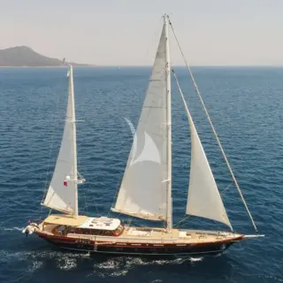 VAY - Image 8