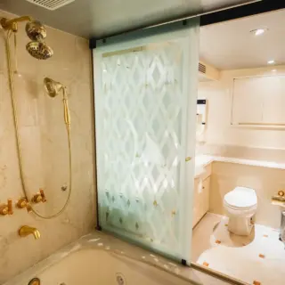 Master Bath Soaking Tub