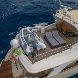 NewField - Image 2