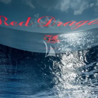 RED DRAGON - Image 11