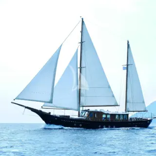 Liana H - Image 1