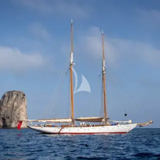 PURITAN - Image 13