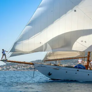 PURITAN - Image 15