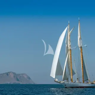 PURITAN - Image 12
