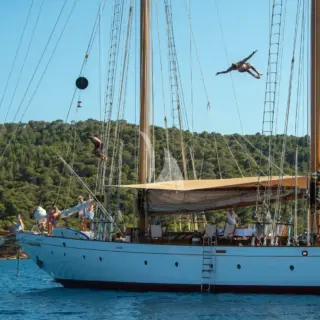 PURITAN - Image 16