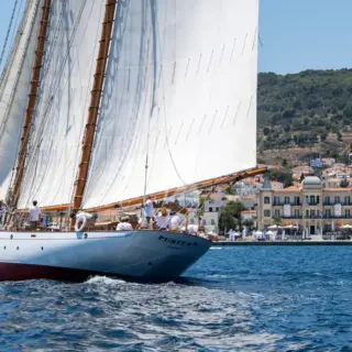 PURITAN - Image 1