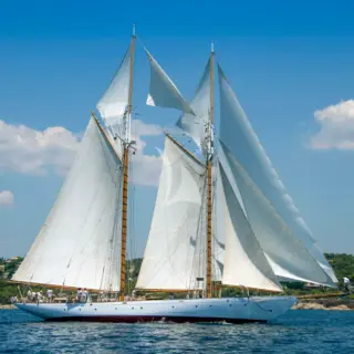 PURITAN - Image 3