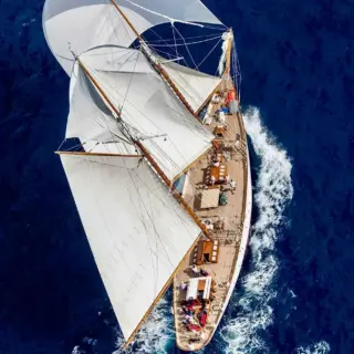 PURITAN - Image 2