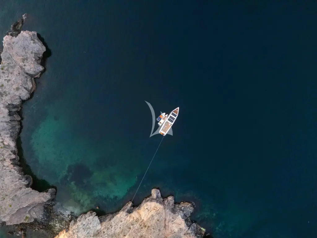 Vision - VISON - EXTERIOR VIEW