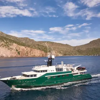 HIGHLANDER - Image 2