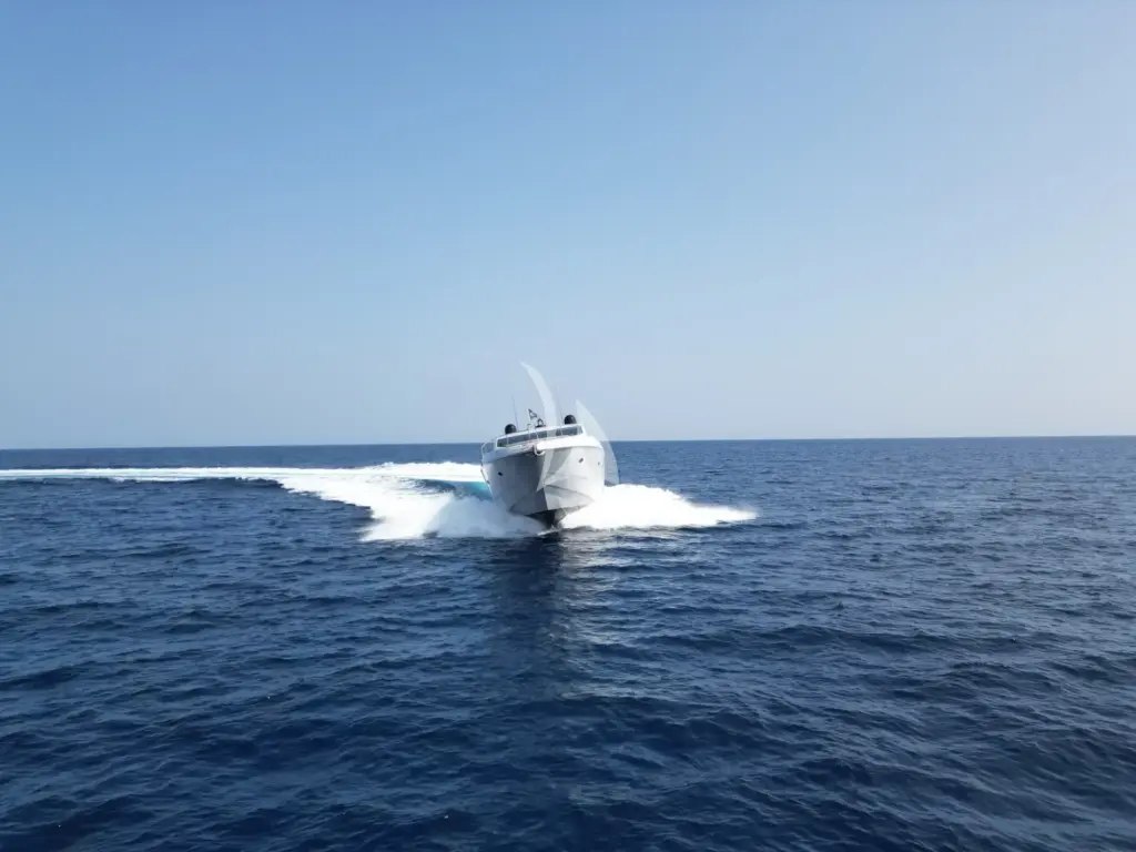 LIGHT BLUE - Image 3