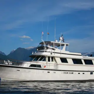 NORTHERN LIGHT - Profile