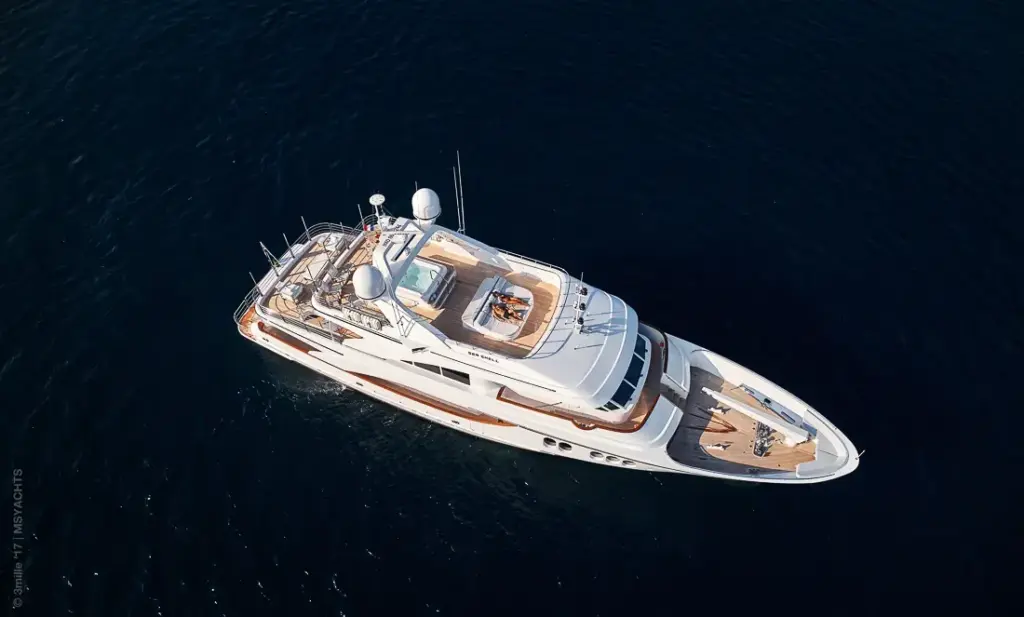 SEA SHELL - EXTERIOR LINES