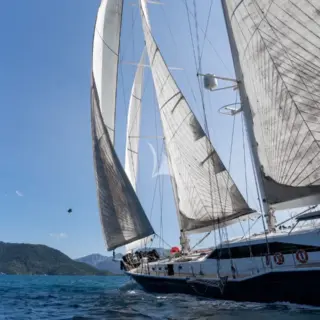 Ubi Bene - Image 15