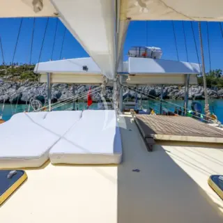 Gazella - Image 16