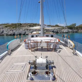 Gazella - Image 7
