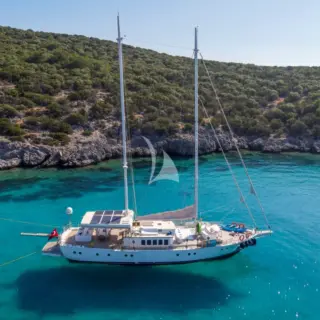 Gazella - Image 1