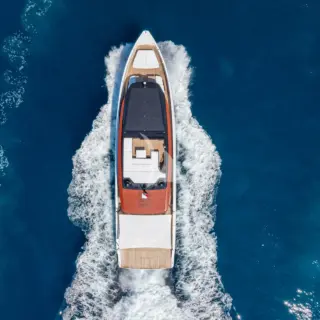 FORZA QUIETA - Image 7