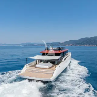 FORZA QUIETA - Image 6
