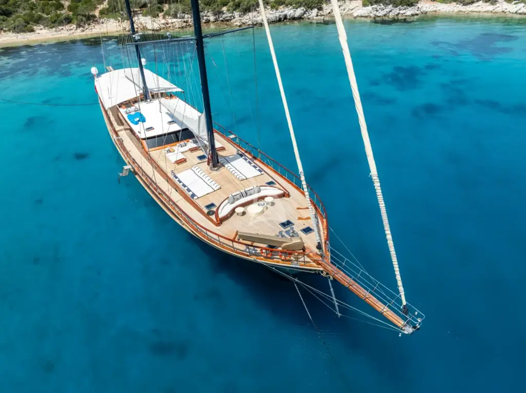 PERFORMANCE FEE - Aerial view