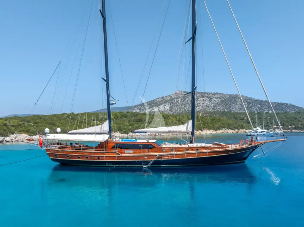 PERFORMANCE FEE - Profile view