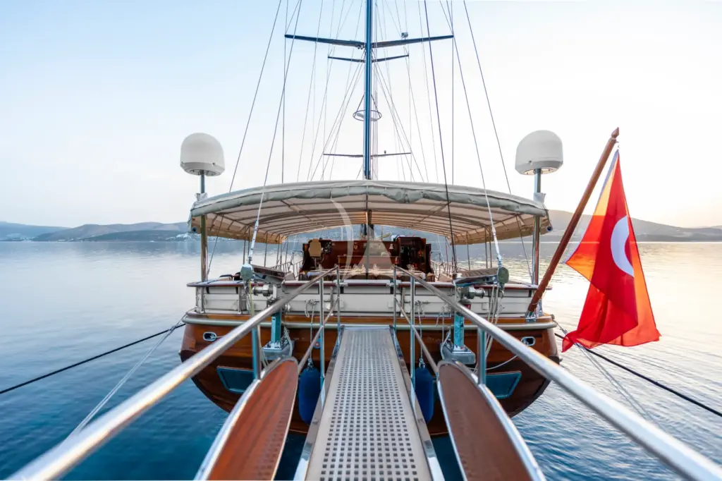 PERFORMANCE FEE - Boarding 