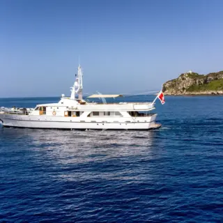 SHAHA - Image 1