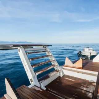 BLUE EYES - Image 16