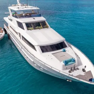 BRANDI WINE - BRANDI-WINE 