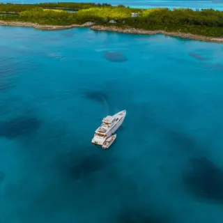 BRANDI WINE - BRANDI-WINE 