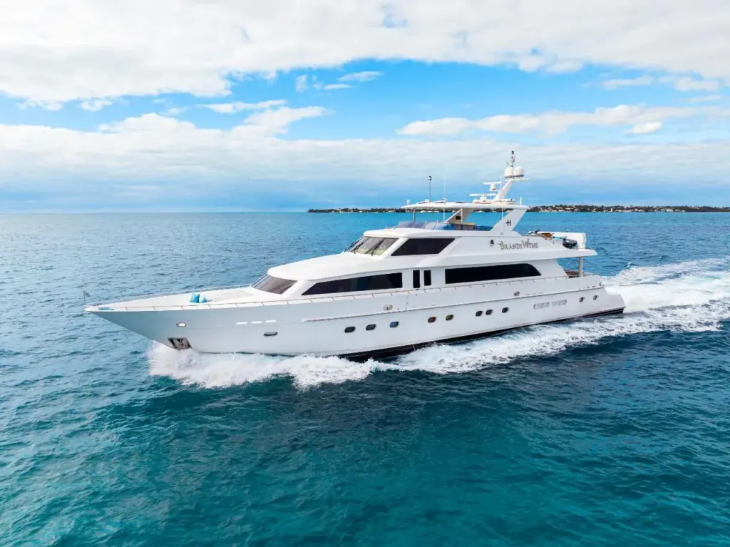 BRANDI WINE - Image 2