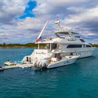 BRANDI WINE - BRANDI-WINE 