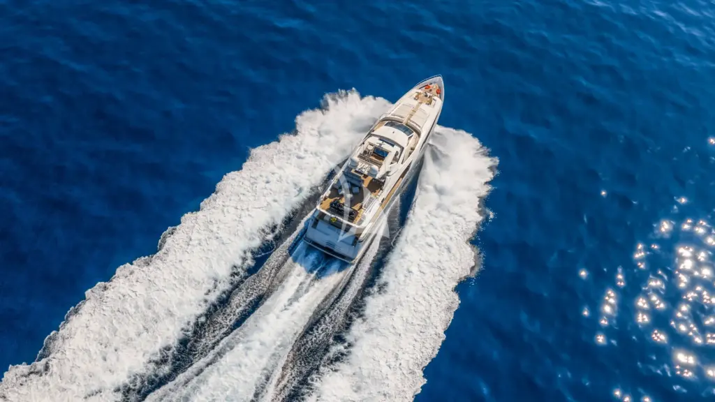 MORNING STAR - Image 3