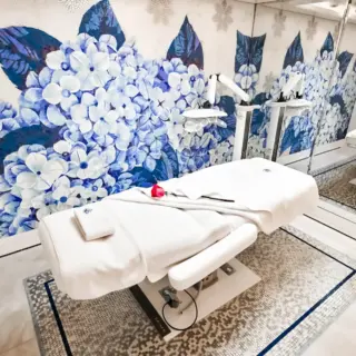 Treatment Room/Spa