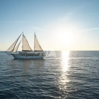 Cataleya - Image 12