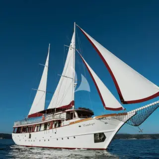 Cataleya - Image 13