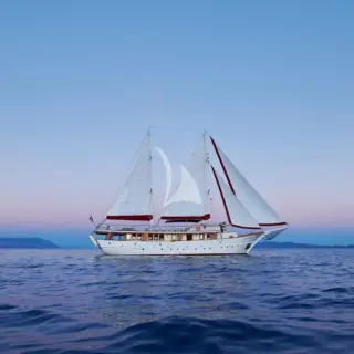 Cataleya - Image 1