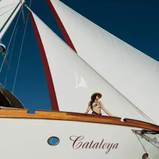 Cataleya - Image 23