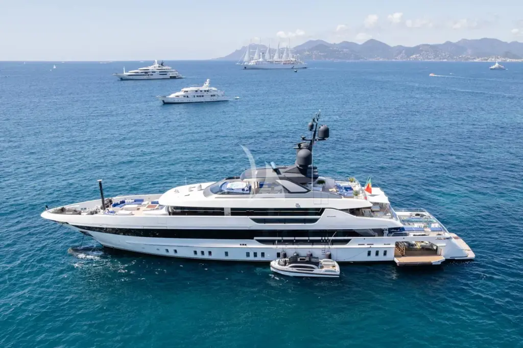 ALULIM - Profile shot hero