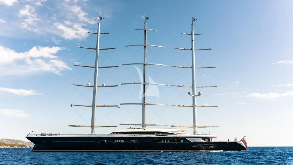 BLACK PEARL - Profile