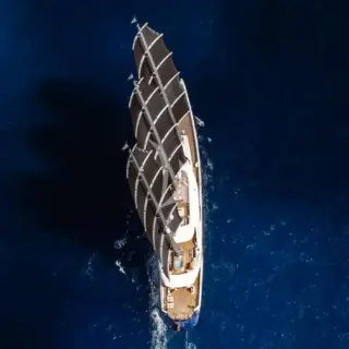 BLACK PEARL - Profile