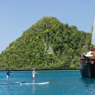 SEQUOIA - 6 x Stand-up paddle boards