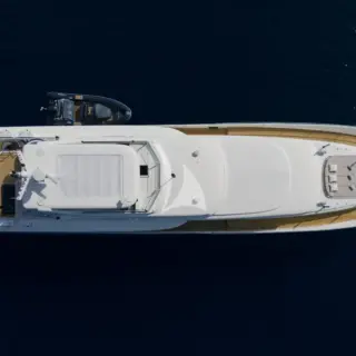 DREAM bird view