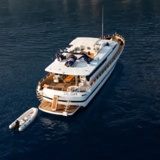 Olga - Image 4