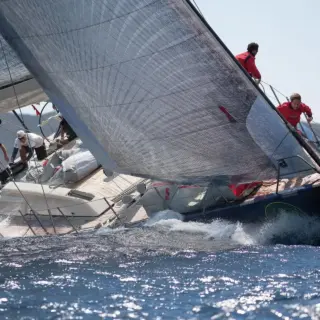 SUD - Image 4