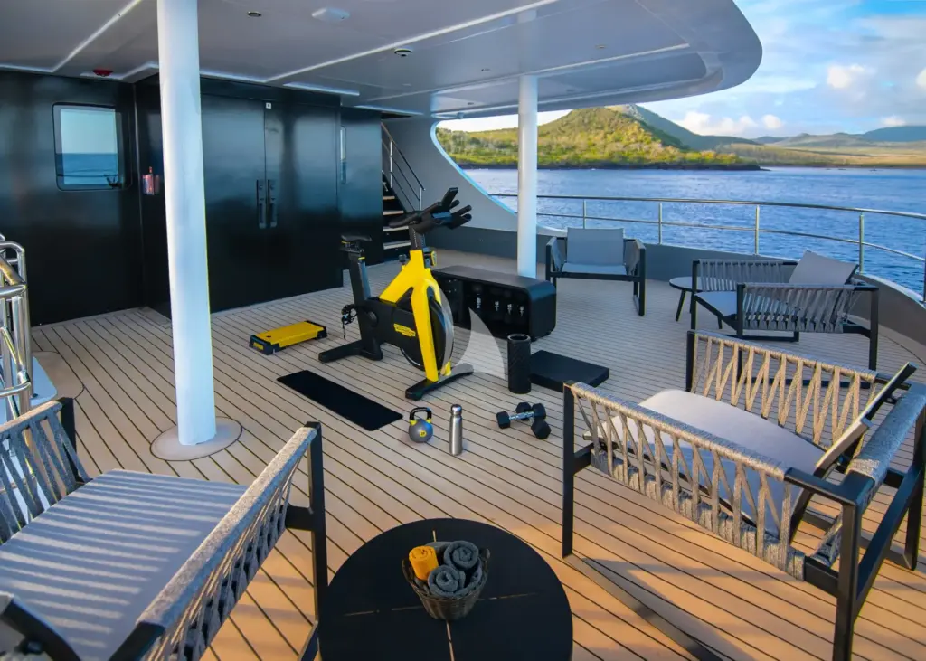 TRIBUTE - FREDDY'S LEGACY - Tribute Pop-Up Fitness Area