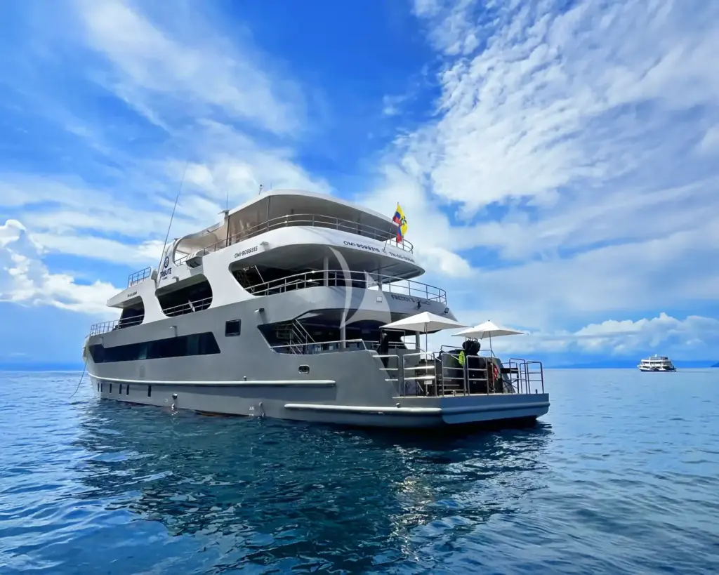 TRIBUTE - FREDDY'S LEGACY - Stern view - 1