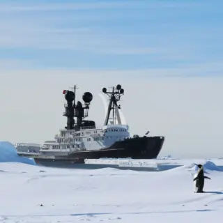 ARCTIC