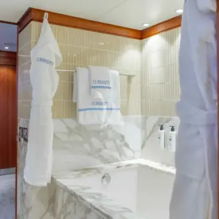 Master cabin bathroom